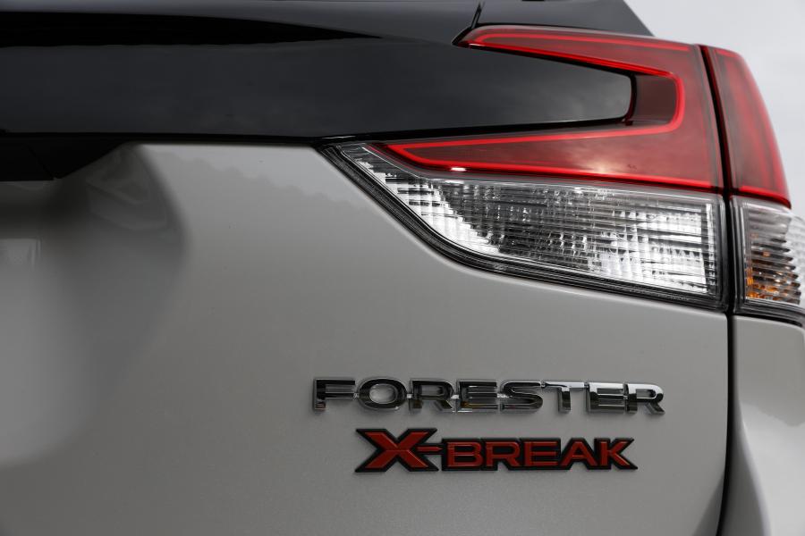 Детали экстерьера Subaru Forester X-Break 2018 года  (JP) (фото 20 из 28)